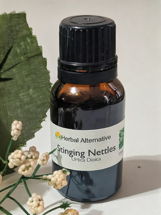 Stinging Nettles Tincture (1 oz)
