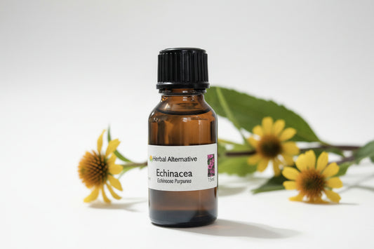 Echinacea Allergy Relief